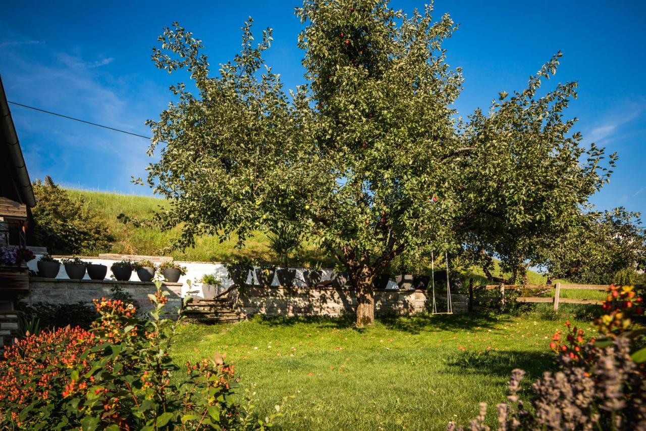 Apartamento Haus Bichler Kössen